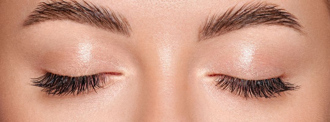 Mejor curso de cejas de pestañas